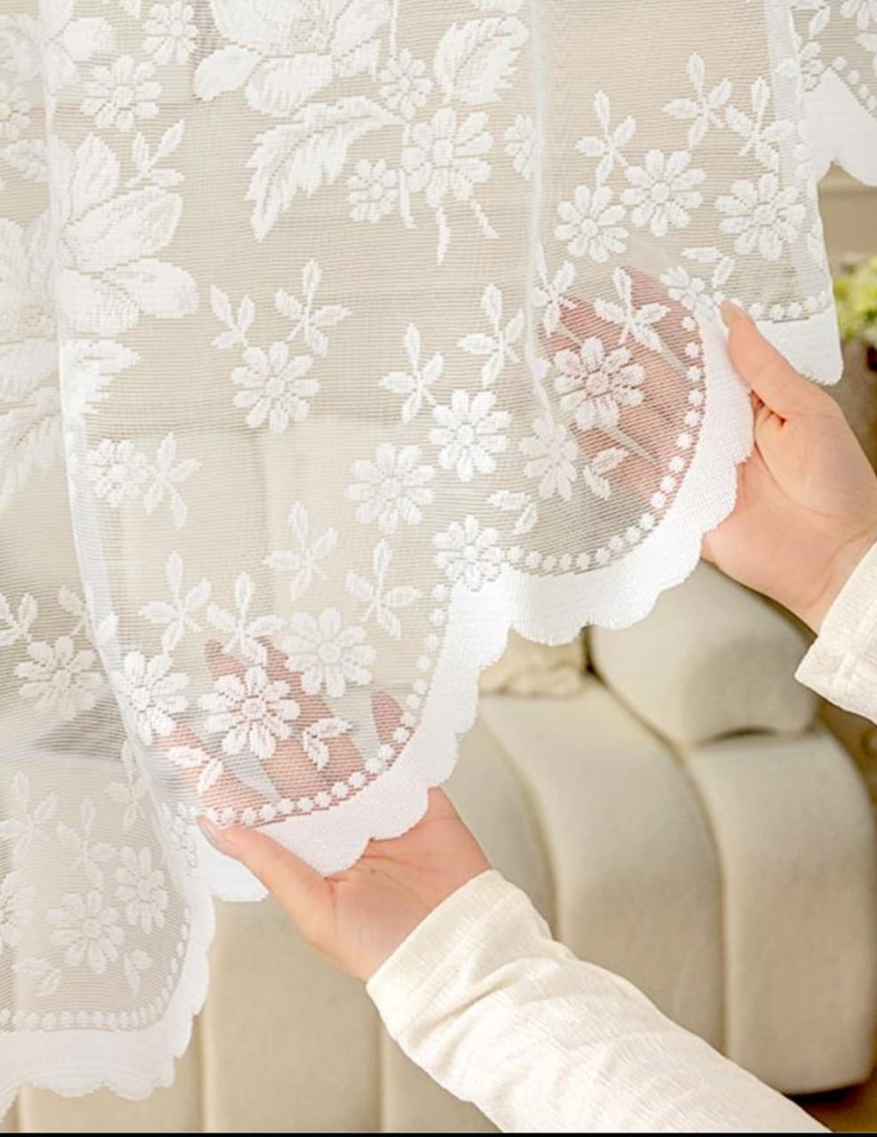 ريدو الأناقة 2026